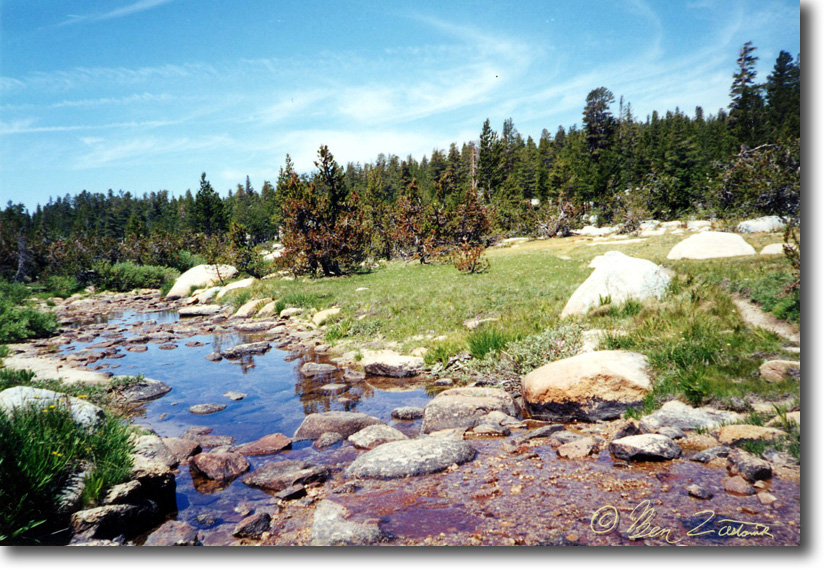 Photo of the Month: December 2005. Fleming Creek